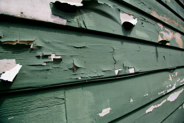 Best Historical Building Siding Restoration  in Pleasant View, UT