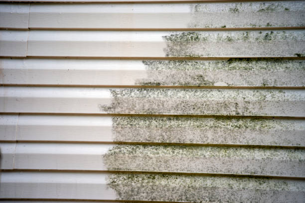 Best Siding Removal and Disposal  in Pleasant View, UT
