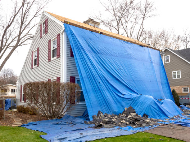Affordable siding repair and maintenance services in Pleasant View, UT